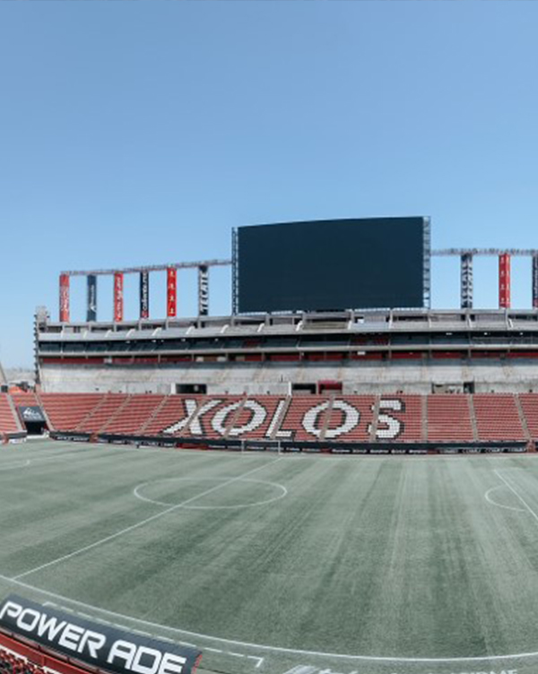 stadiumpicture